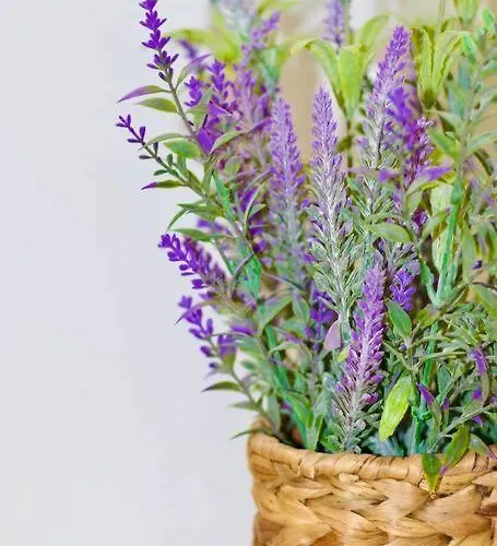 Daire Sweethome - Da Rocha *