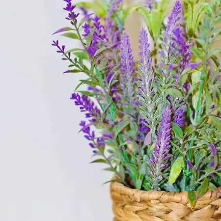 公寓 Sweethome - Da Rocha *